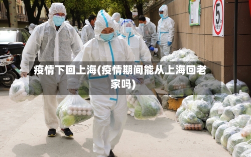 疫情下回上海(疫情期间能从上海回老家吗)