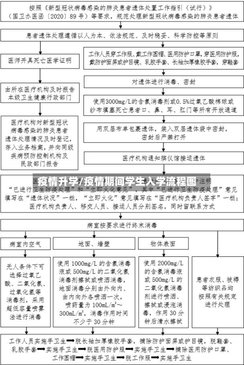 疫情升学/疫情期间学生入学流程图